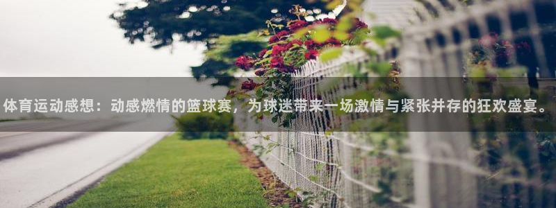 米兰体育网站