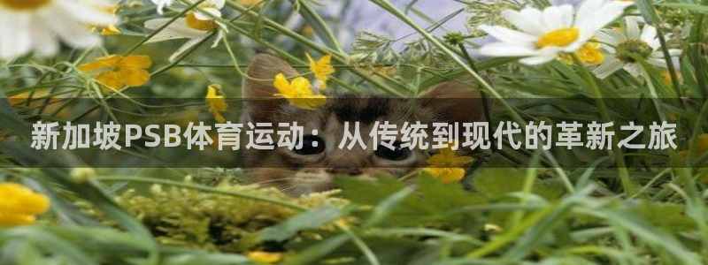米兰体育app