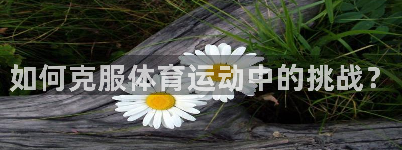 米兰体育官网入口