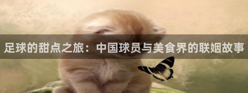 米兰体育入口