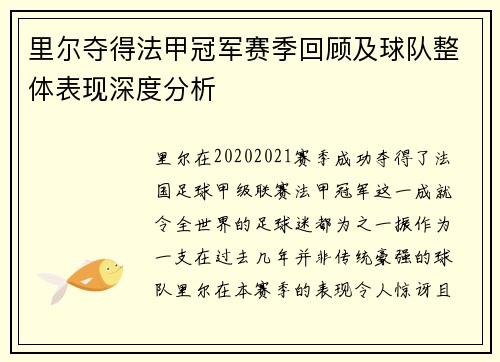 里尔夺得法甲冠军赛季回顾及球队整体表现深度分析