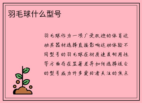 羽毛球什么型号