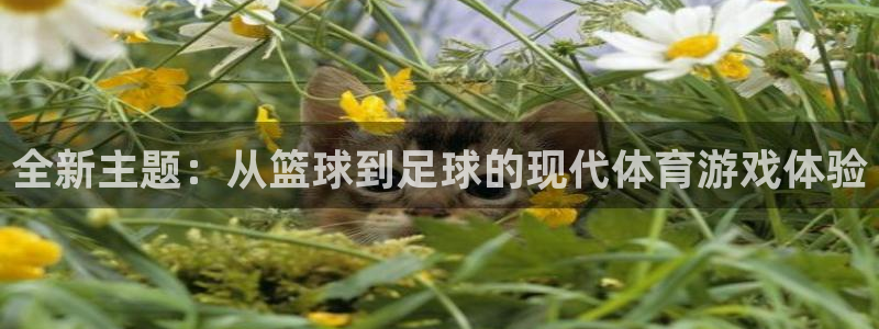 米兰体育中心